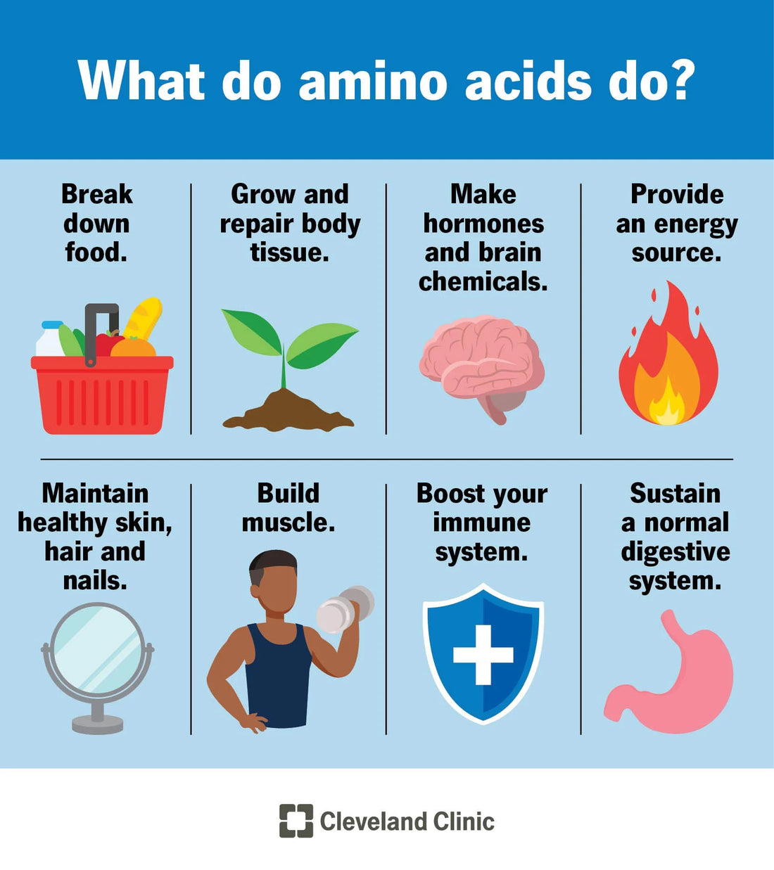 Unveiling the Power of Branch Chain Amino Acids: Exploring L-Arginine, L-Citrulline, Beta-Alanine, and Creatine