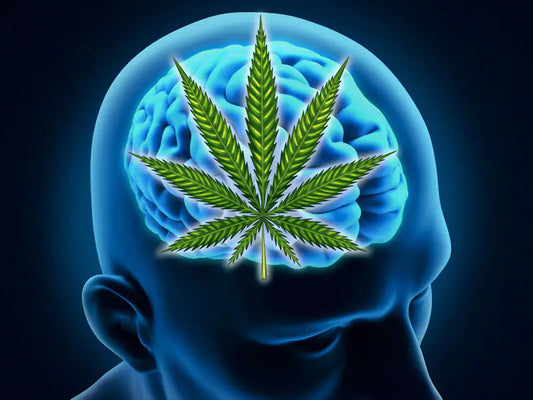 Cannabis and Concussions